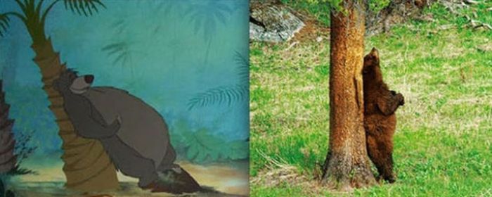 Animals. Animation vs Real Life (20 pics)