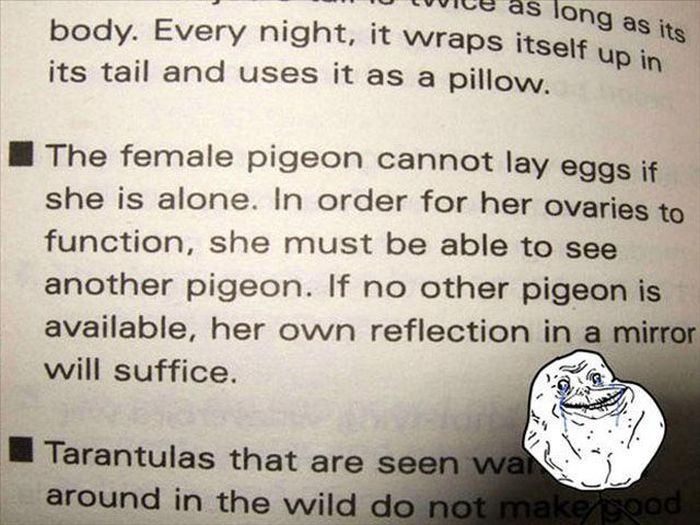 Forever Alone. Part 4 (47 pics)