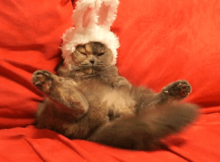 Acid Gifdump (25 gifs)