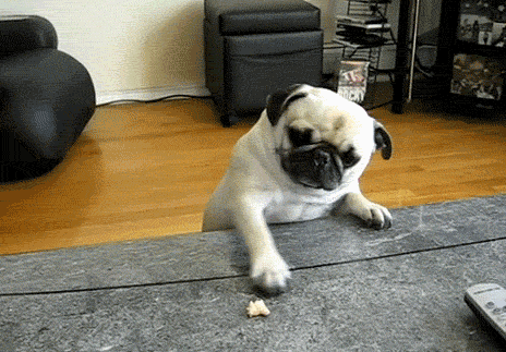 Acid Gifdump (25 gifs)