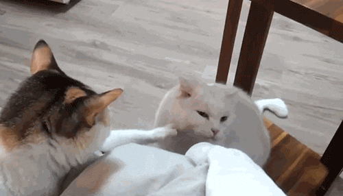 Acid Gifdump (25 gifs)