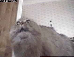 Acid Gifdump (25 gifs)