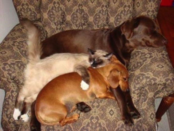 It Sucks to Be the Middle Child (27 pics) It Sucks to Be the Middle Child (27 pics)