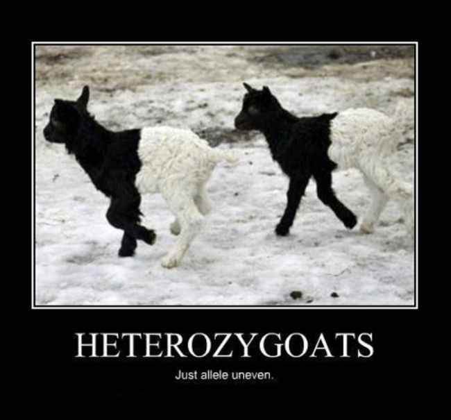 Nerdy Science Jokes. Part 2 (20 pics)