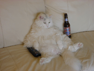 Acid Gifdump (25 gifs)