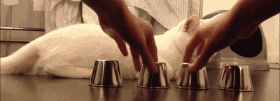 Acid Gifdump (25 gifs)
