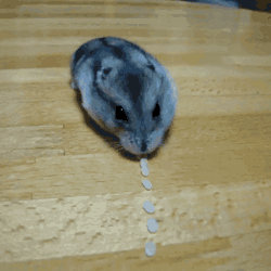 Acid Gifdump (25 gifs)