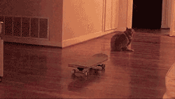 Acid Gifdump (25 gifs)