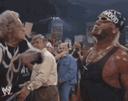 Funny Wrestling Moments (50 gifs)