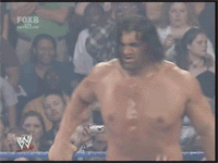 Funny Wrestling Moments (50 gifs)