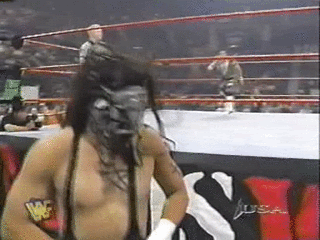 Funny Wrestling Moments (50 gifs)