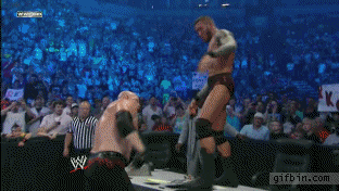 Funny Wrestling Moments (50 gifs)