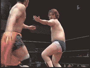 Funny Wrestling Moments (50 gifs)