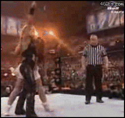 Funny Wrestling Moments (50 gifs)