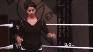Funny Wrestling Moments (50 gifs)