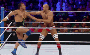Funny Wrestling Moments (50 gifs)