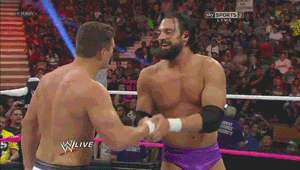 Funny Wrestling Moments (50 gifs)