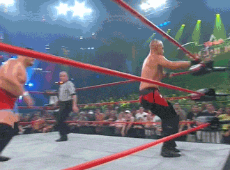 Funny Wrestling Moments (50 gifs)