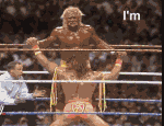 Funny Wrestling Moments (50 gifs)