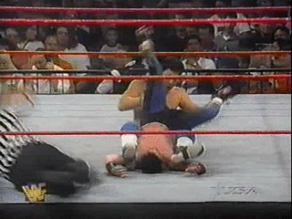 Funny Wrestling Moments (50 gifs)