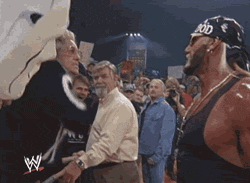 Funny Wrestling Moments (50 gifs)