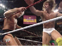 Funny Wrestling Moments (50 gifs)