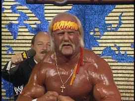 Funny Wrestling Moments (50 gifs)