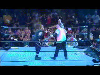 Funny Wrestling Moments (50 gifs)