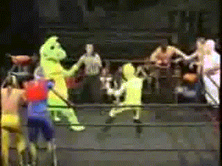 Funny Wrestling Moments (50 gifs)