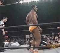 Funny Wrestling Moments (50 gifs)