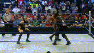 Funny Wrestling Moments (50 gifs)