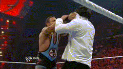 Funny Wrestling Moments (50 gifs)