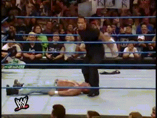 Funny Wrestling Moments (50 gifs)