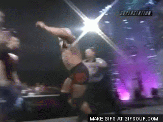 Funny Wrestling Moments (50 gifs)