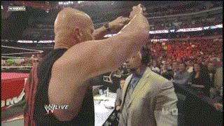 Funny Wrestling Moments (50 gifs)