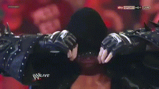 Funny Wrestling Moments (50 gifs)