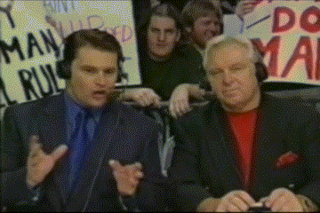 Funny Wrestling Moments (50 gifs)