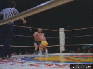 Funny Wrestling Moments (50 gifs)