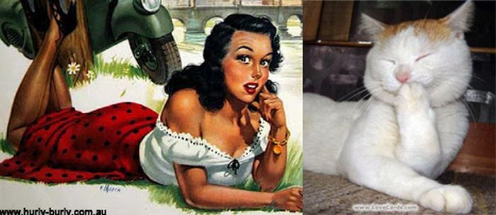 Cats That Look Like Pin Up Girls (55 pics)