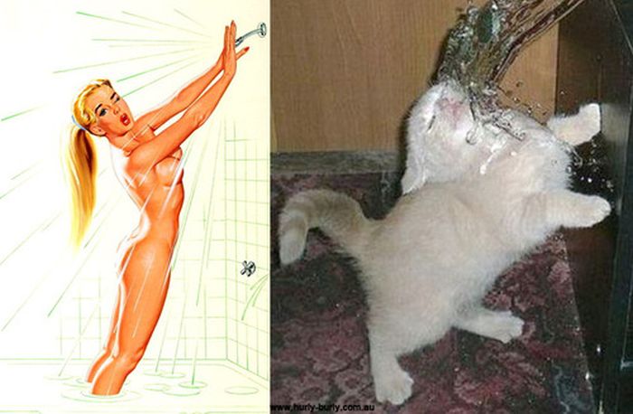 Cats That Look Like Pin Up Girls (55 pics)