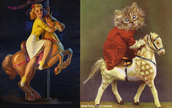 Cats That Look Like Pin Up Girls (55 pics)