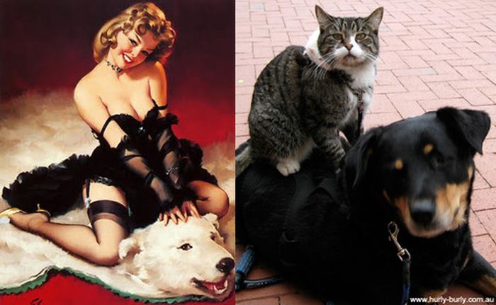 Cats That Look Like Pin Up Girls (55 pics)