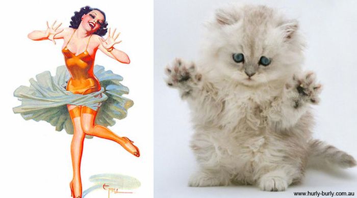 Cats That Look Like Pin Up Girls (55 pics)