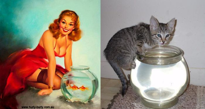 Cats That Look Like Pin Up Girls (55 pics)