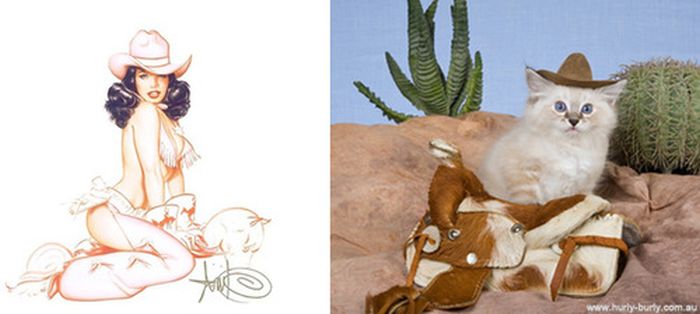 Cats That Look Like Pin Up Girls (55 pics)