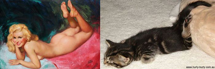 Cats That Look Like Pin Up Girls (55 pics)