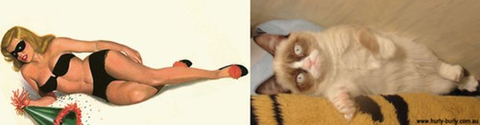 Cats That Look Like Pin Up Girls (55 pics)