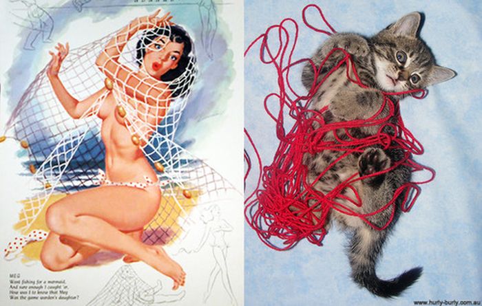 Cats That Look Like Pin Up Girls (55 pics)