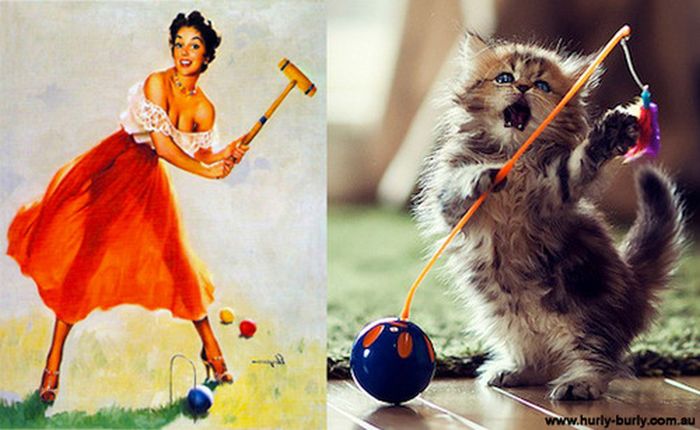 Cats That Look Like Pin Up Girls (55 pics)
