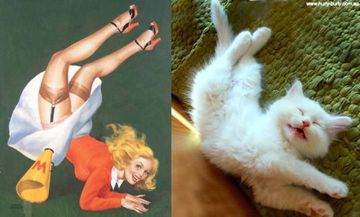 Cats That Look Like Pin Up Girls (55 pics)